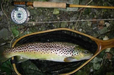 Bobs-trout-8.08.111